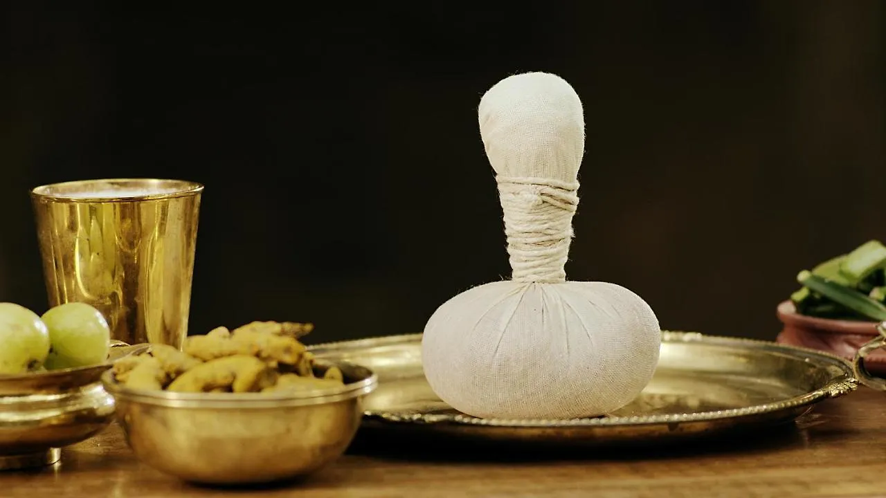 Sanjeevini Life Care Village - A Science Based Non - Invasive Holistic Wellness Destination Kochi
