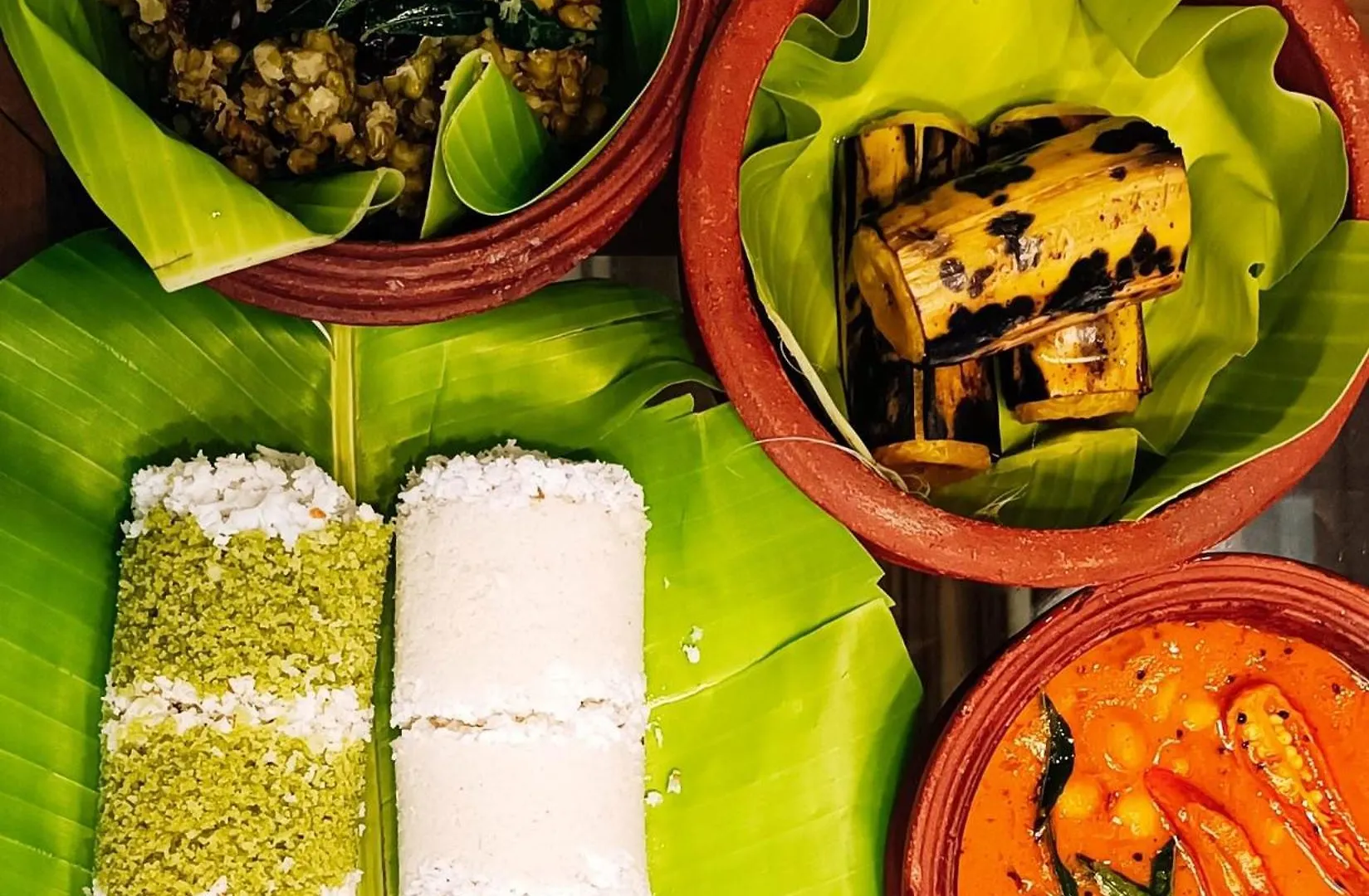 Sanjeevini Life Care Village - A Science Based Non - Invasive Holistic Wellness Destination Kochi India